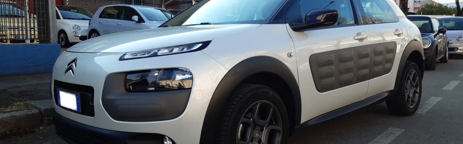 Citroen C4 Cactus BlueHDi 100 S Shine euro 6b